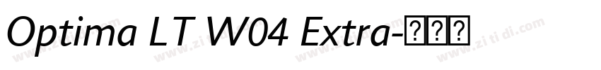 Optima LT W04 Extra字体转换
